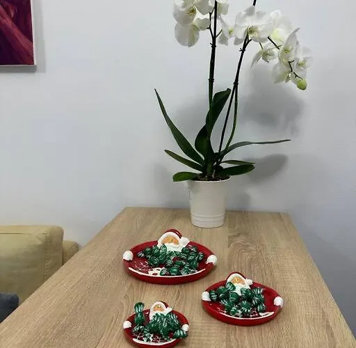Apartament Modern Cozy In Tirana